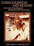 Consciousness and Beyond - The Final Teachings of Sri Nisargadatta Maharaj