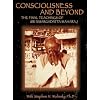 Consciousness and Beyond - The Final Teachings of Sri Nisargadatta Maharaj