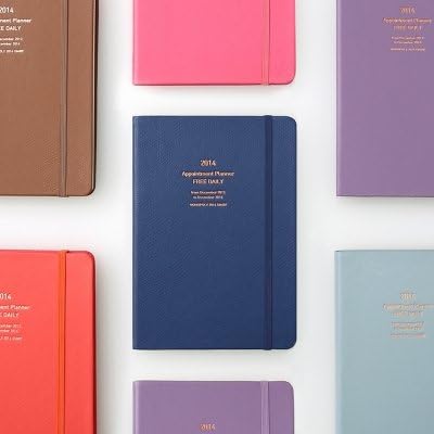 Monopoly 2014 Appointment Daily Planner (B6 size) - Pistachio Blue