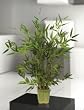 Bamboo Table Top Silk Tree 28 in