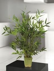 Bamboo Table Top Silk Tree 28 in