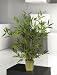 Bamboo Table Top Silk Tree 28 in