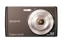 Sony Cyber-Shot DSC-W510 12.1 MP Digital Still Camera with 4x Wide-Angle Optical Zoom Lens and 2.7-inch LCD (Black)