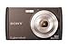 Sony Cyber-Shot DSC-W510 12.1 MP Digital Still Camera with 4x Wide-Angle Optical Zoom Lens and 2.7-inch LCD (Black)
