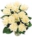 12 White Roses