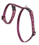 Lupine 1/2 Inch H Style Harness-9-14- Royal Gold Pattern