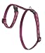 Lupine 1/2 Inch H Style Harness-9-14- Royal Gold Pattern