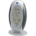 Wireless Forecast Station
