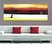 Modern Abstract Art Oil Painting STRETCHED READY TO HANG OPB694