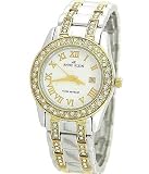 ANNE KLEIN - 10/7979SVTT - Analogique - Montre Femme - Bracelet en metal couleur argente et or