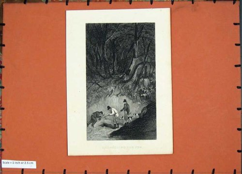 Cover image : UNEARTHING FOX HUNTING SPORT HOUNDS DOGS MEN TREES