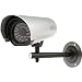 Hi-Res Outdoor CCD Security Camera With Long Range Night Vision