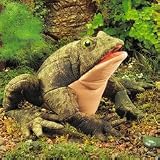 ヒキガエル ハンドパペットの画像
