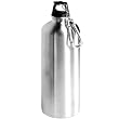 Eco-Friendly Brushed Stainless Steel 700ml Water Bottle - Easy-Carry Carabiner - BPA-Free