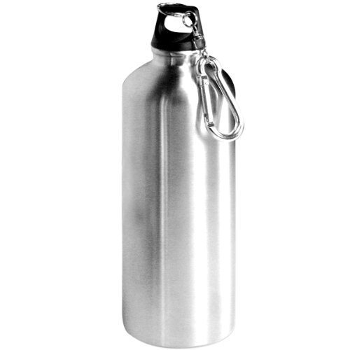 Childrens Toyshop  Sporting Goods : Eco-Friendly Brushed Stainless Steel 700ml Water Bottle - Easy-Carry Carabiner - BPA-Free