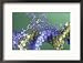 Protein-Dna Interaction Collections Framed Photographic Poster Print by Jacob Halaska, 21x17