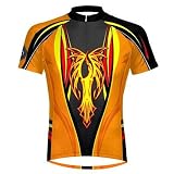 Primal Wear 2012 Men's Phoenix Cycling Jersey - PHO1J20MS (Phoenix - XXXL)