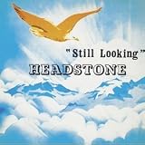 Still Looking