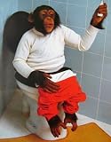 (16x20) So What (Monkey on Toilet) Art Poster Print