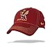 NCAA University of Minnesota College Fade In Swooshflex Cap