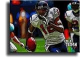 Completely Handpainted American Football Sport Painting, Custom Order FL2788, Oil on Canvas, with Option to Paint Jerry, Brett & Co. from Any Other Favorite Photograph or Picture, Unframed, Size 16" x 22" inch