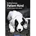 Patient Hund: Krankheiten vorbeugen, erkennen, behandeln