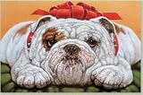 Bulldog Fa La La Boxed Christmas Cards - 16 Cards & 17 Envelopes