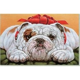 Bulldog Fa La La Boxed Christmas Cards - 16 Cards & 17 Envelopes