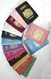 Leather Passport Cover Hot Pink