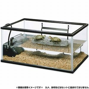 タートルファミリーフラットエル