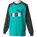 (プーマ)PUMA LS Tee 818088