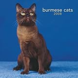 Burmese Cats 2008 Square Wall Calendar