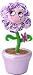 Movin and Groovin Flowers Image
