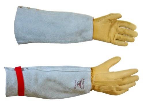 The Protector Rose Gauntlet Gloves, Size 8-1/2 On Sale