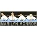 Marilyn Monroe Rare Sticker/Decal Marilyn Ballet Dancing with the Stars Art Decal ~ Official Licensed Marilyn Monroe Merchansise Collectible Art Sticker
