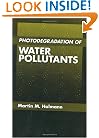 Photodegradation of Water Pollutants