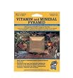 Aquarium Pharmaceuticals Vitamin and Mineral Pyramid, one block