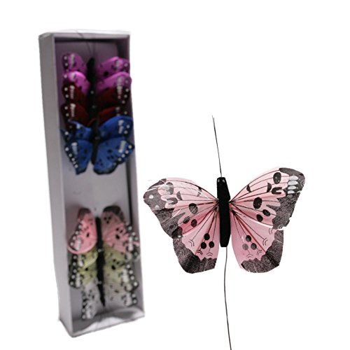 Spotted Butterfly Decorations