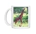 Giraffe, Giraffa Photo Mugs