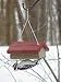 Single Cake Upside Down Suet Feeder w/Hanging Cable
