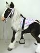 Butterscotch S'Mores Interactive Horse Saddle Set - Blue