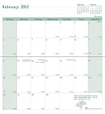 Brownline 2011-2012 EcoLogix Monthly Pocket Planner, 16 months (Sept-Dec), Stitched Binding, Black, 6.5 x 3.5-Inches (CA5628.BLK)