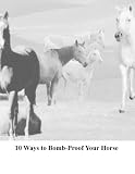 10 Ways to Bomb-proof Your Horse