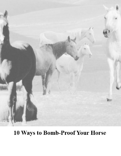 10 Ways to Bomb-proof Your Horse
