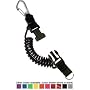 Innovative Stainless Steel Carabiner Coil Lanyard