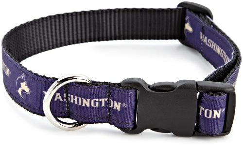 NCAA Washington Huskies Dog Collar (Team Color, Small)