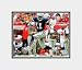 Matted Roy Williams Dallas Cowboys 8x10 Photo