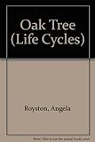 Life cycle of an oak tree