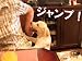 愛犬用　しつけアイテム　ガシャガシャ　