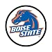 FanDome - Boise State University BGS-031016-001